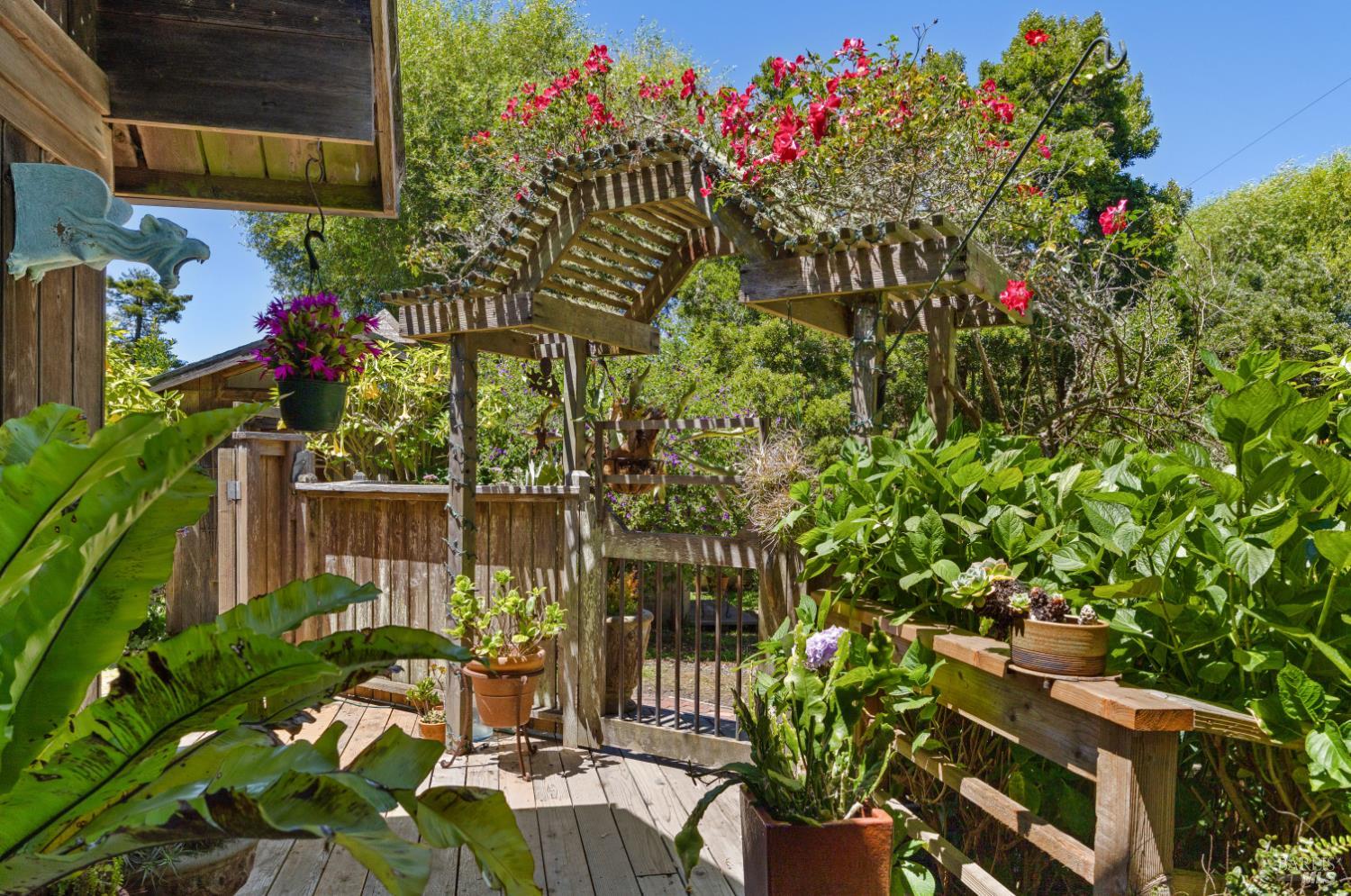 385 Cedar Road Bolinas, CA 94924 - Photo 6 of 70