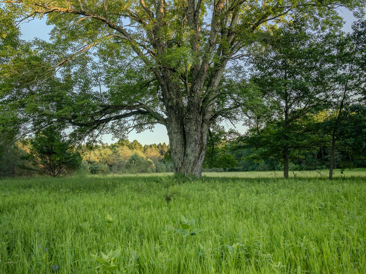 1 East Arthur Road Rothbury, MI 49452 - Photo 13 of 19