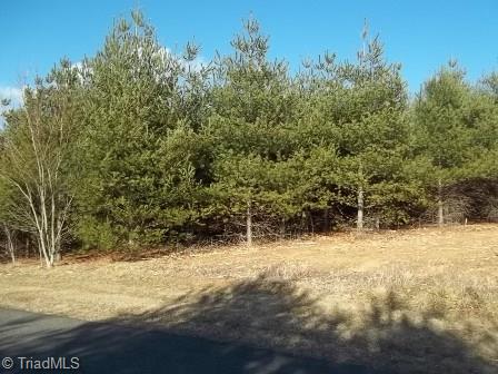 0 Meadowbrook Road Cana, VA 24317 - Photo 1 of 1 Gallery Image 1