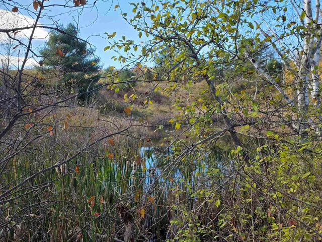 $675,000 | 0 Us Route 2, St. Johnsbury, VT 05819