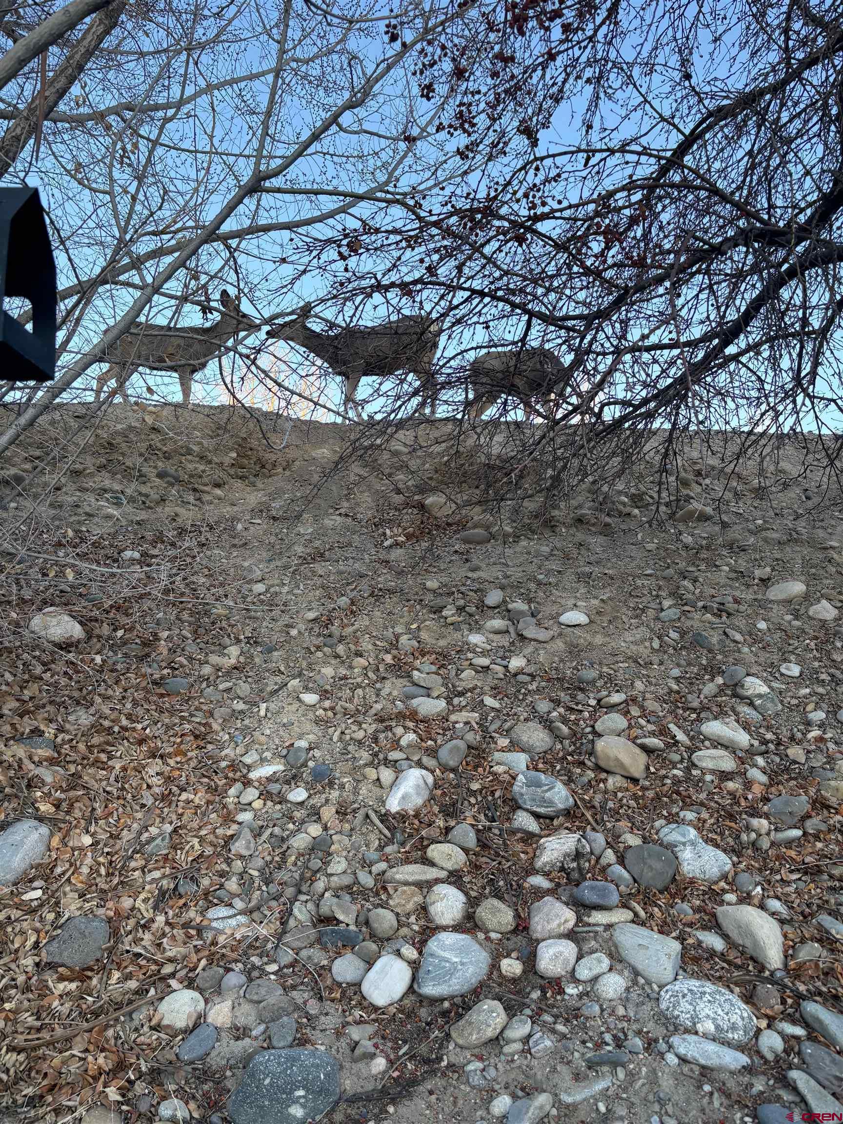 188 Bert Street Delta, CO 81416 - Photo 32 of 36 a view of a yard with a tree