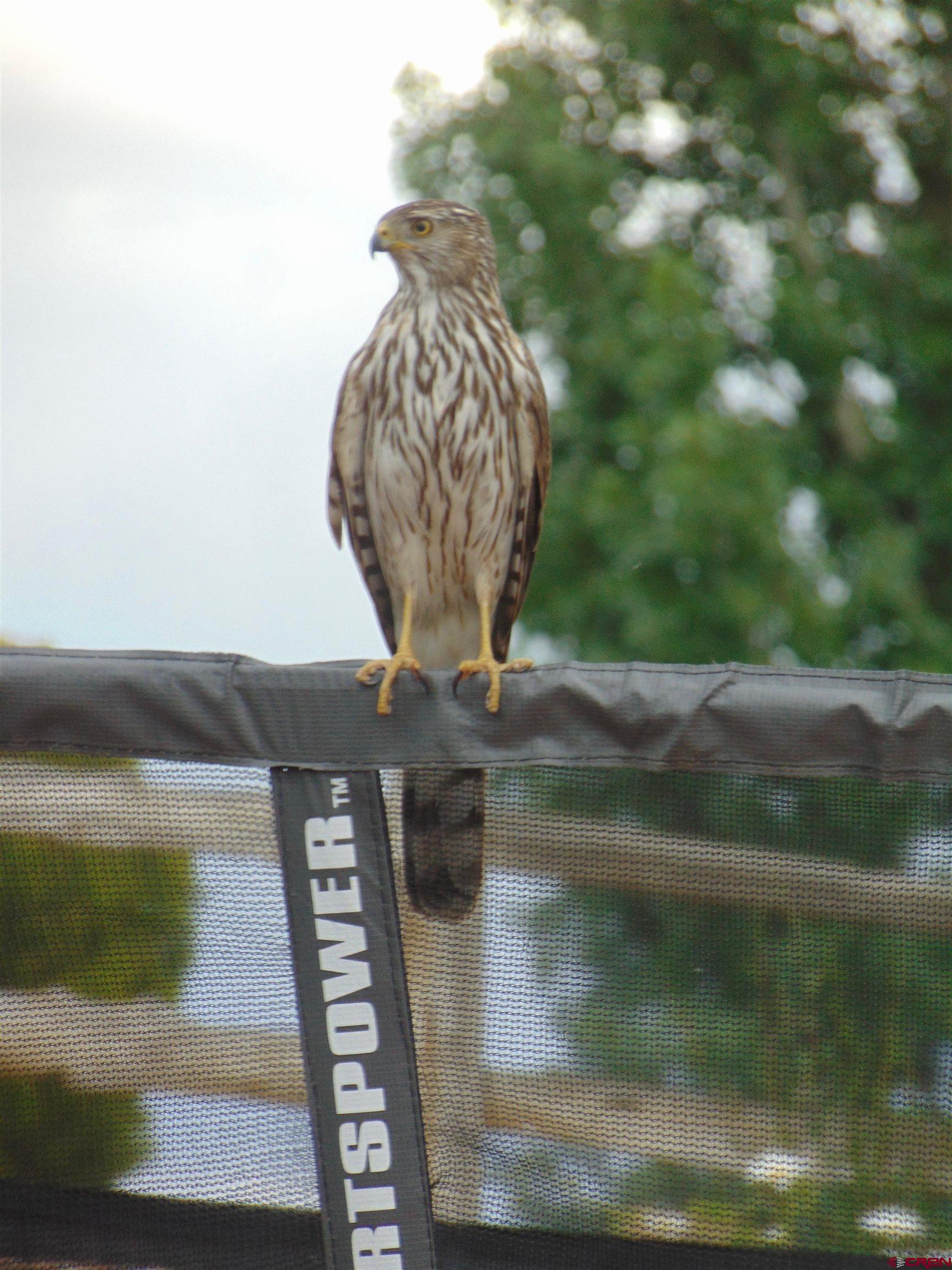 188 Bert Street Delta, CO 81416 - Photo 33 of 36 a view of swings
