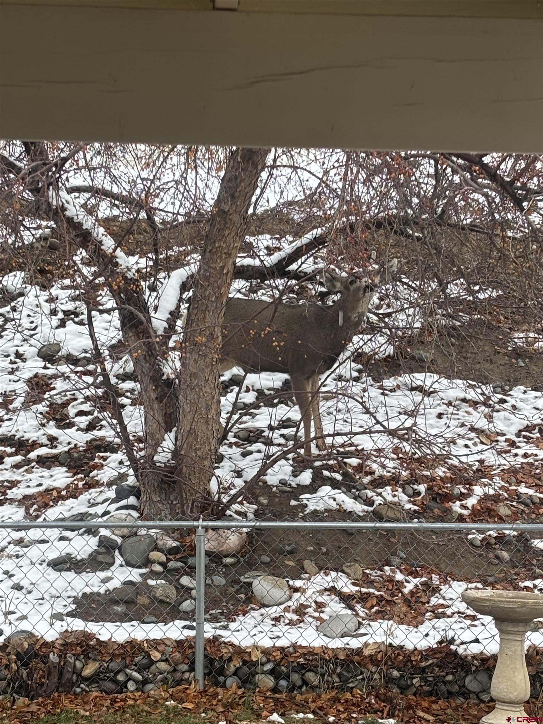 188 Bert Street Delta, CO 81416 - Photo 35 of 36 a picture of outside space