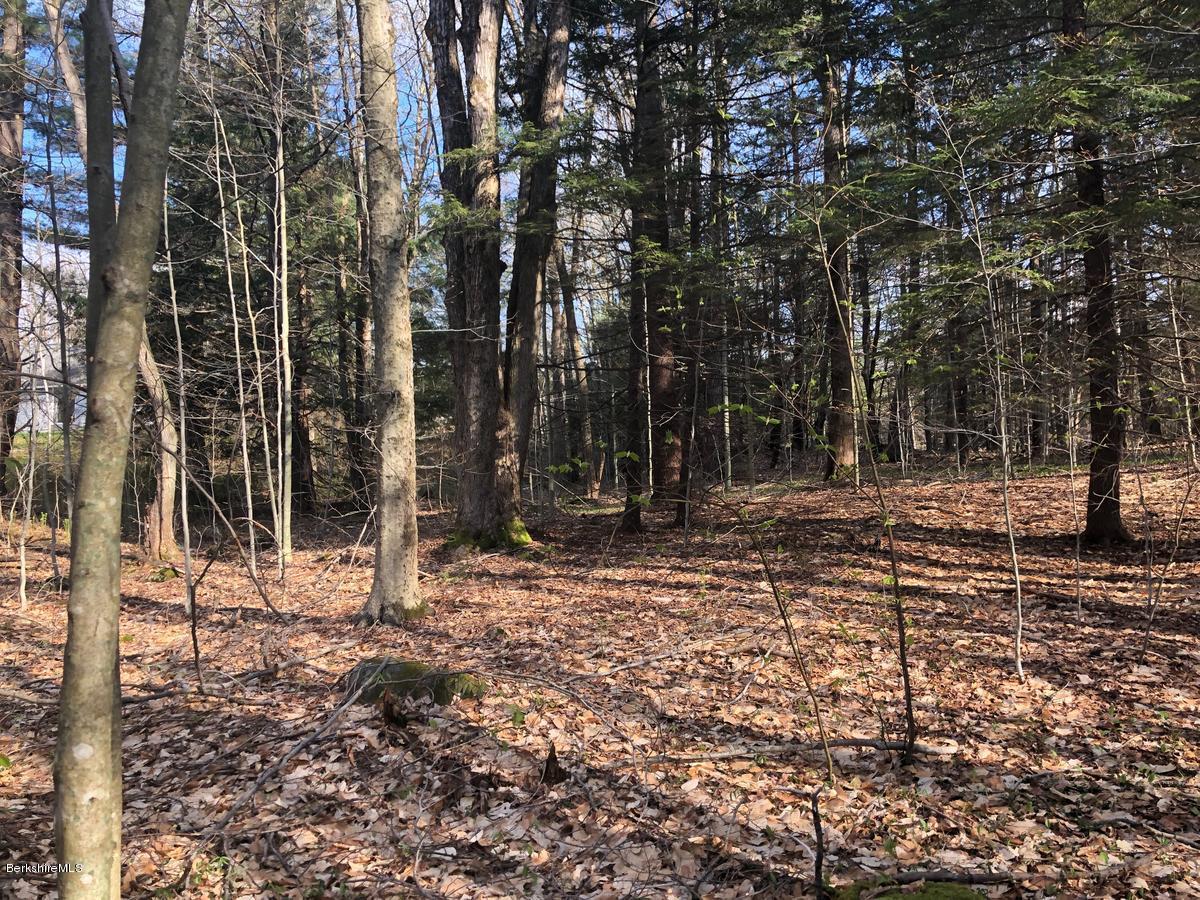 0 Dimmock Road Otis, MA 01253 - Photo 6 of 9 6woodedlot