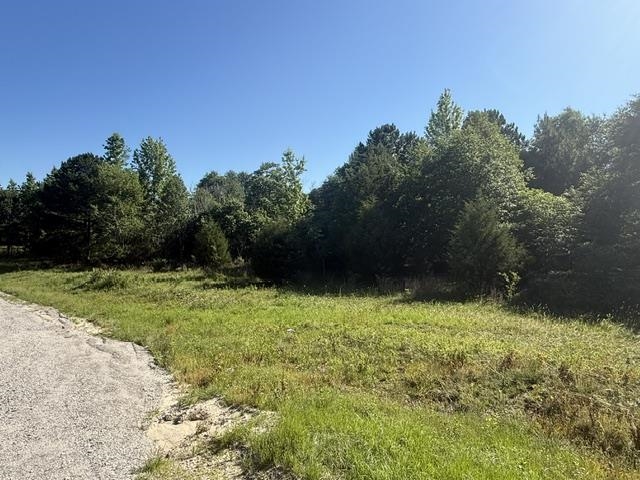 491 Crow Burk Road Pageland, SC 29728 - Photo 7 of 9