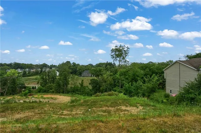 a view of a big yard with a large tree