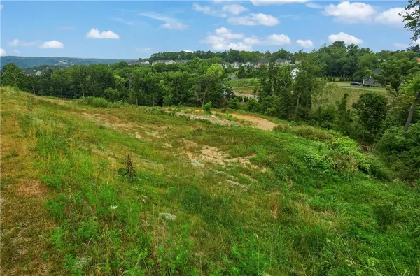 a view of a lush green space