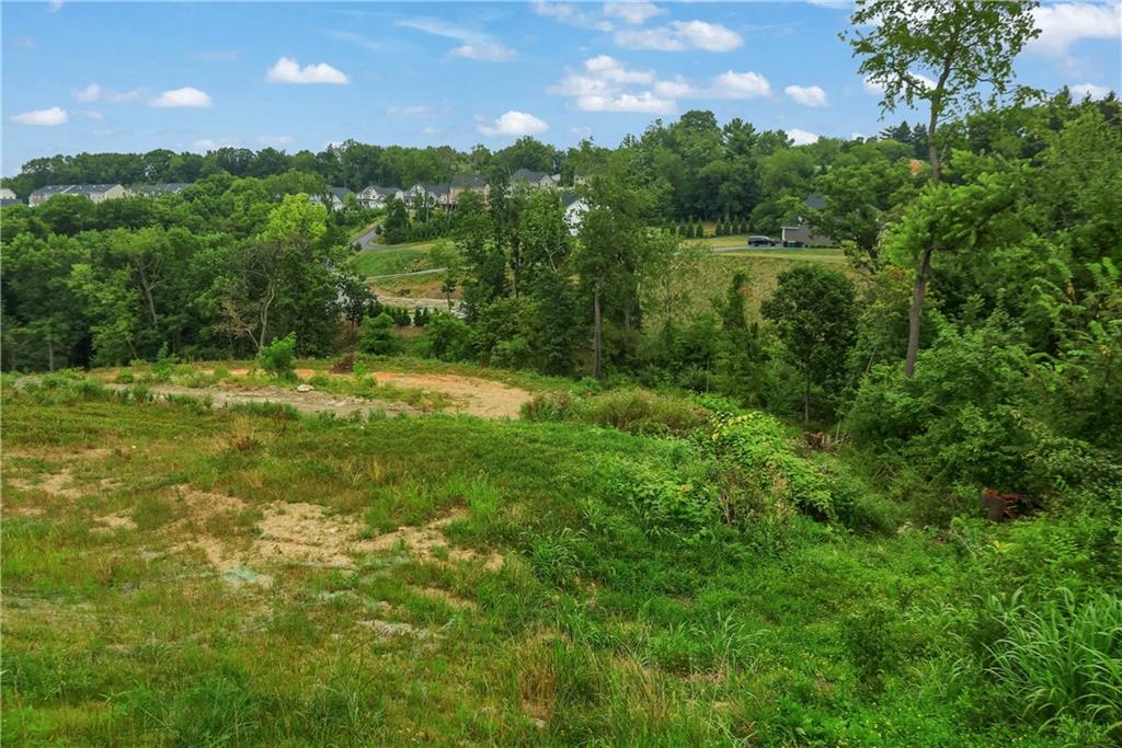 Lot 8 Beaver Grade Road McKees Rocks, PA 15136 - Photo 5 of 14 a view of a city with lush green forest