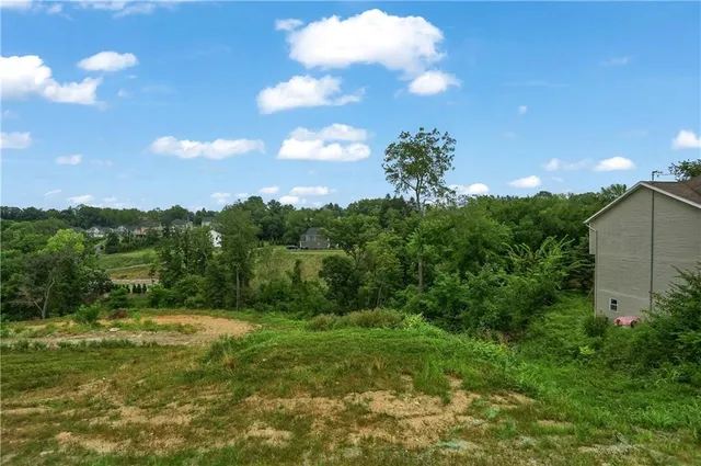 a view of a garden with a tree in the background