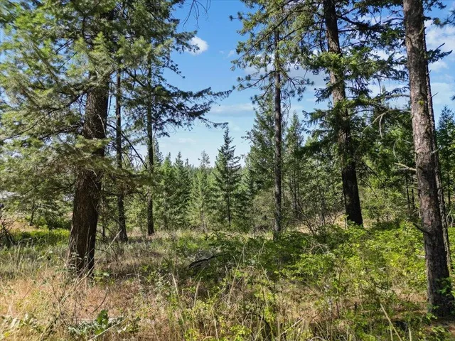 $89,000 | Nka Weaver Road, Unit LOT 3 OF LOT 1, Deer Park, WA 99006