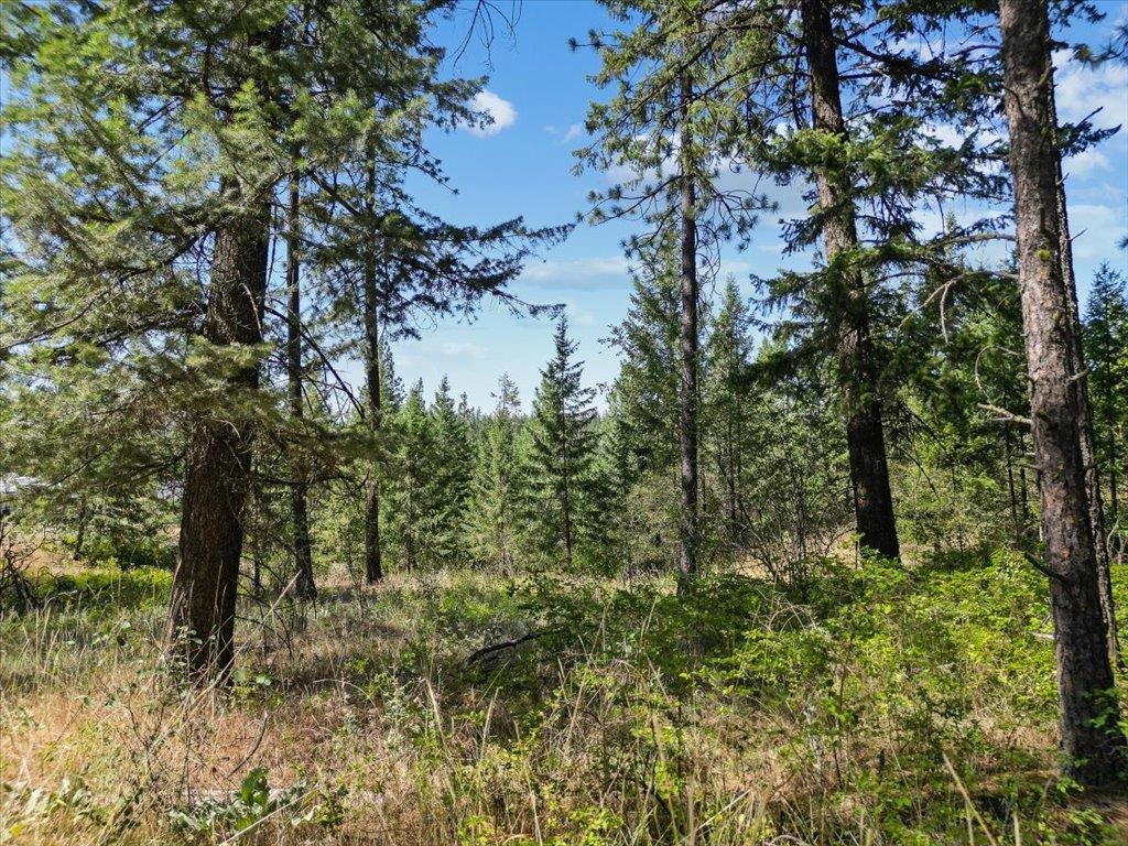 Nka Weaver Road, Unit LOT 3 OF LOT 1 Deer Park, WA 99006 - Photo 11 of 12