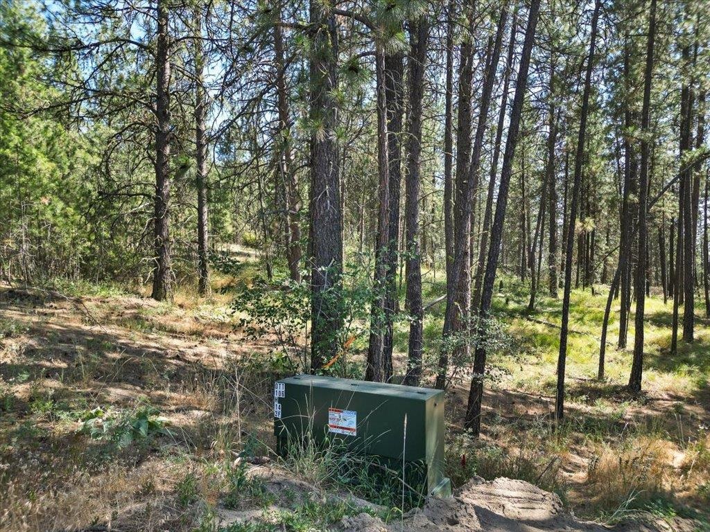 Nka Weaver Road, Unit LOT 3 OF LOT 1 Deer Park, WA 99006 - Photo 4 of 12
