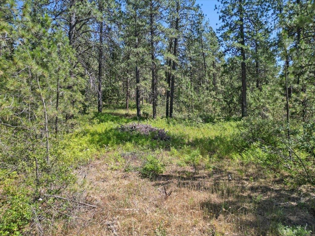 Nka Weaver Road, Unit LOT 3 OF LOT 1 Deer Park, WA 99006 - Photo 8 of 12