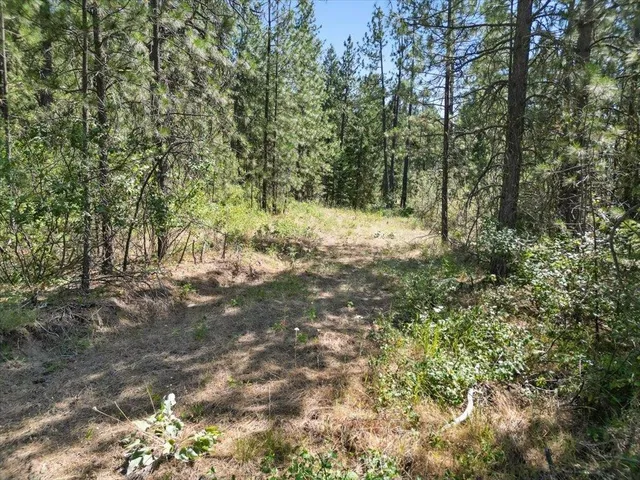 $89,000 | Nka Weaver Road, Unit LOT 3 OF LOT 1, Deer Park, WA 99006