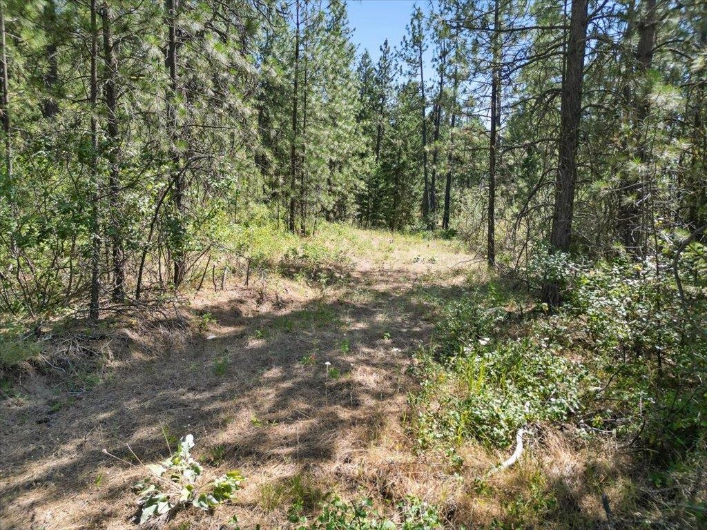 Nka Weaver Road, Unit LOT 3 OF LOT 1 Deer Park, WA 99006 - Photo 9 of 12