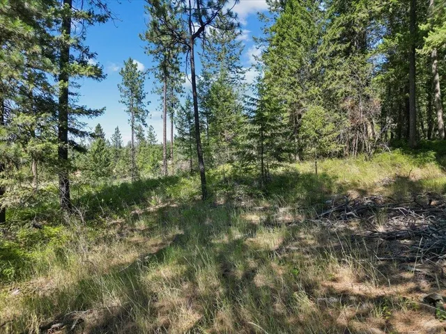 $89,000 | Nka Weaver Road, Unit LOT 3 OF LOT 1, Deer Park, WA 99006