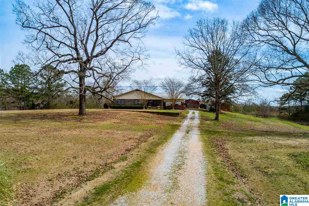 4199 Cowpens Road Alexander City, AL 35010 - Photo 49 of 50