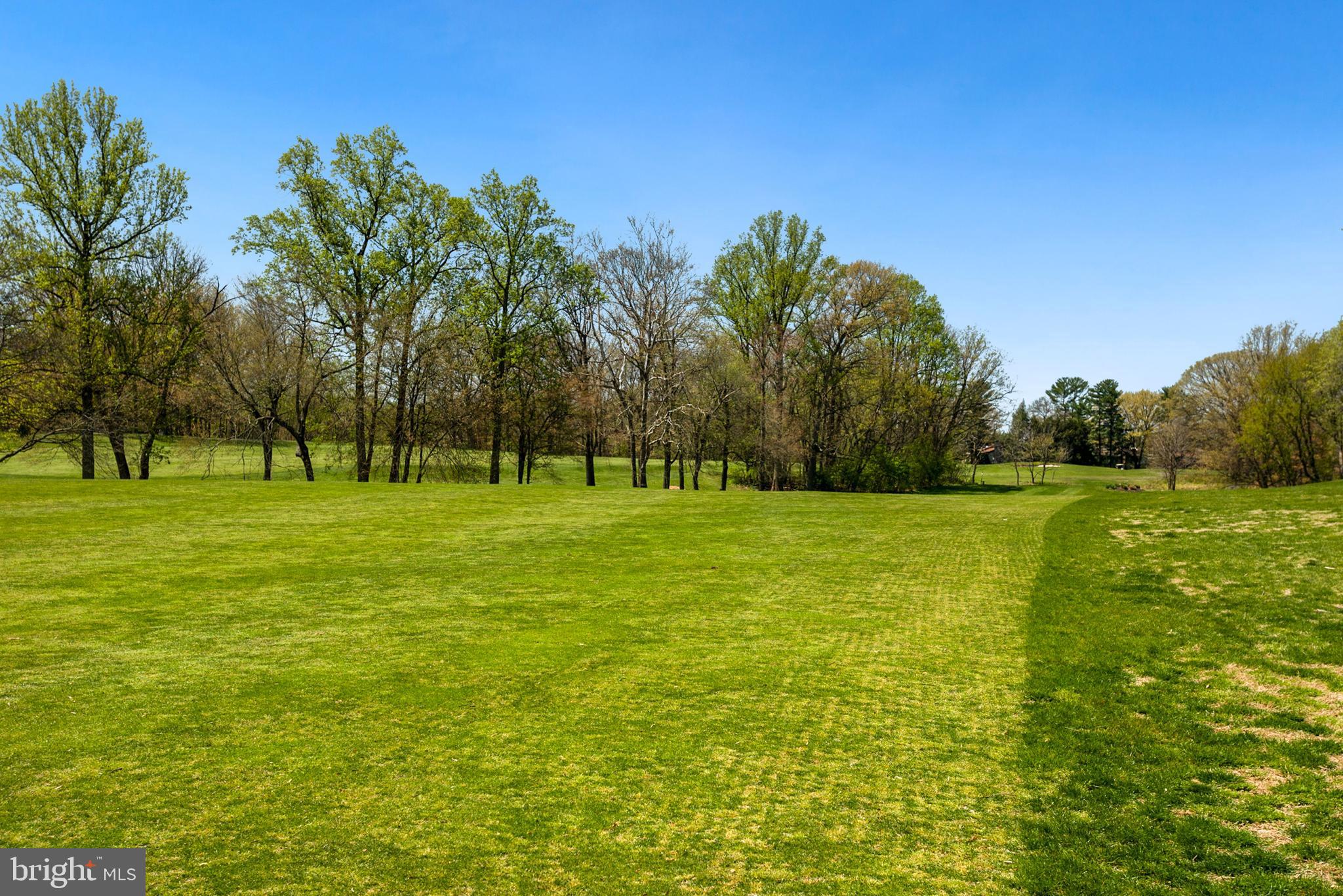 2076 Golf Course Drive Reston, VA 20191 - Photo 46 of 61 a view of a park with large trees