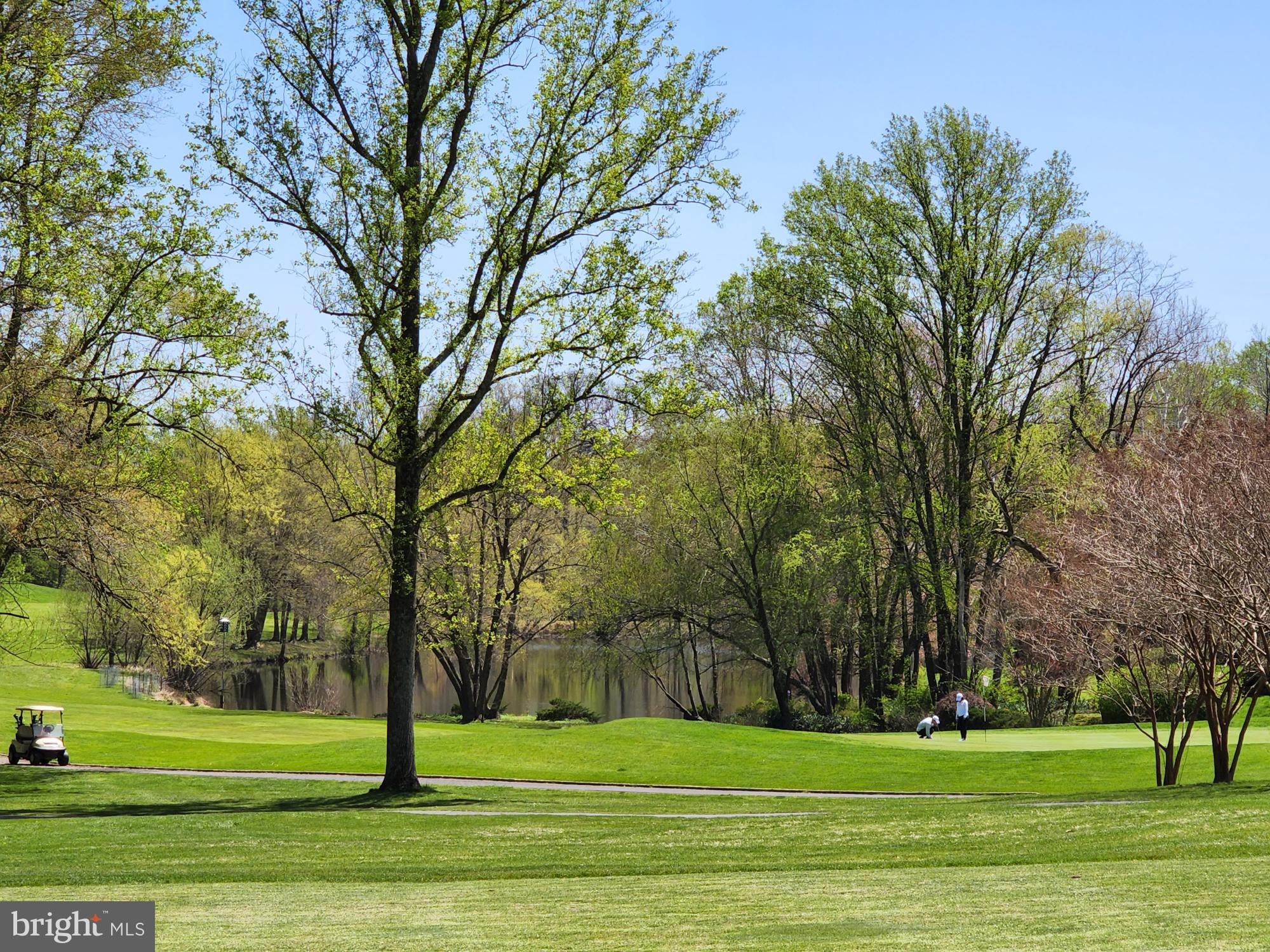 2076 Golf Course Drive Reston, VA 20191 - Photo 54 of 61