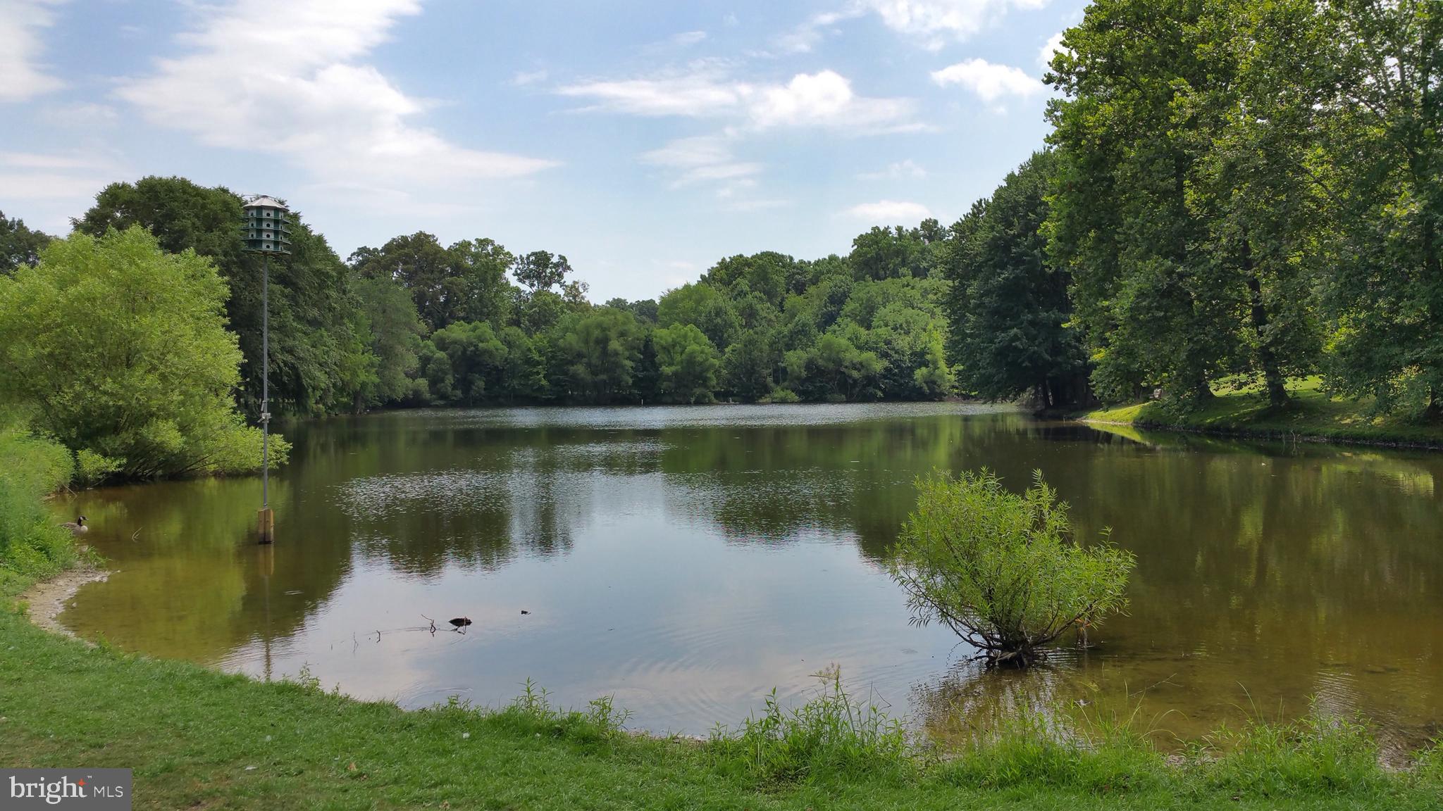 2076 Golf Course Drive Reston, VA 20191 - Photo 57 of 61 a view of a lake