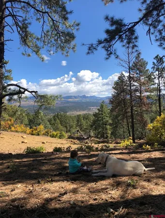 $899,000 | 1140 Lodge Pole Drive, Pagosa Springs, CO 81147