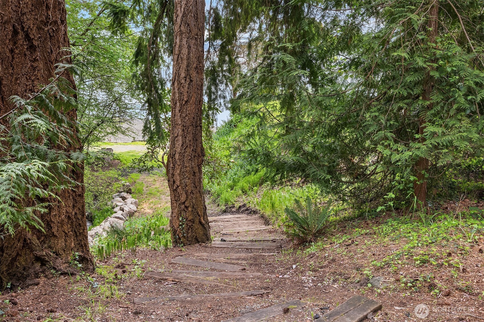 13725 Southwest Pohl Road Vashon, WA 98070 - Photo 29 of 40 a big yard with lots of green space and plants