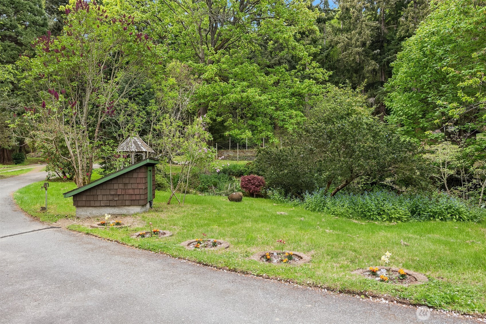 13725 Southwest Pohl Road Vashon, WA 98070 - Photo 34 of 40 a backyard of a house with plants and large trees
