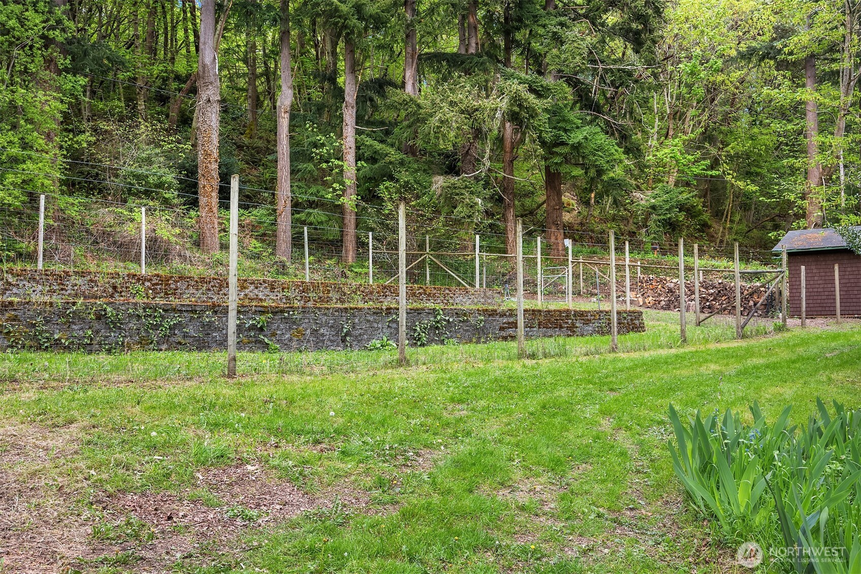 13725 Southwest Pohl Road Vashon, WA 98070 - Photo 35 of 40 a view of a yard with a wooden fence
