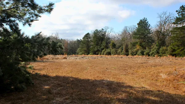 $28,899 | Tbd La Petite Court, Trinity, TX 75862