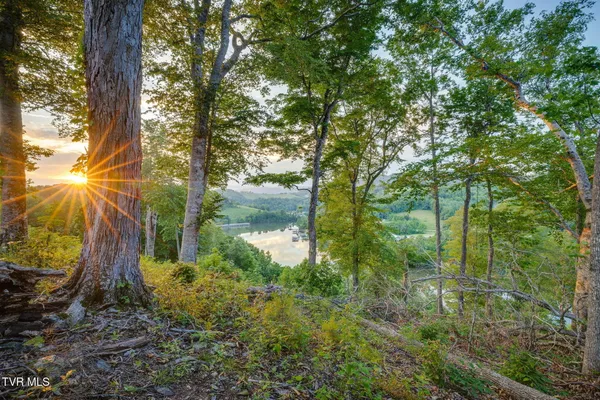 $277,500 | Lot 24 Cowan Town Road, Unit 24, Butler, TN 37640
