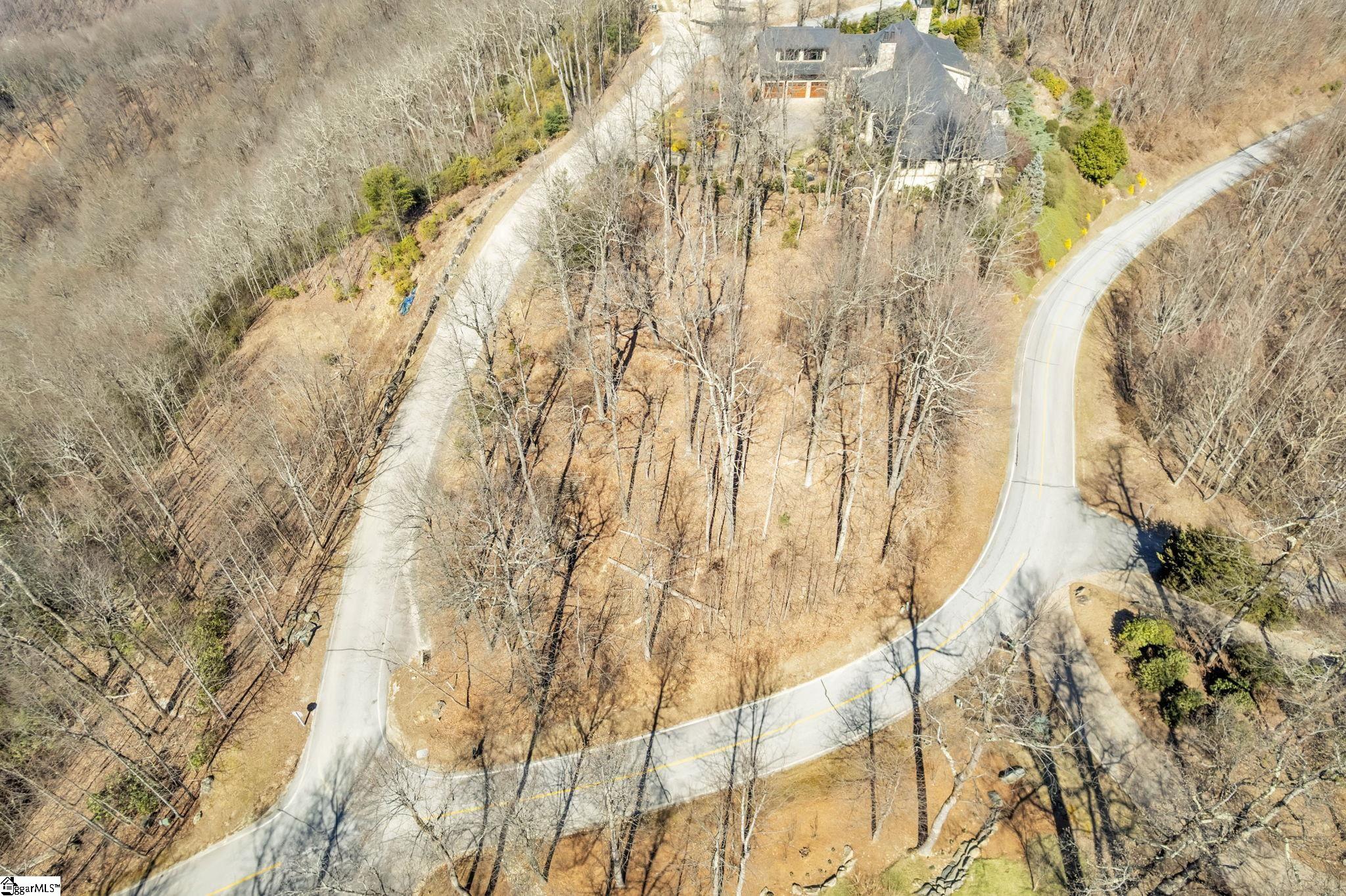 0 Panther Mountain Road, Unit LOT PM8 Travelers Rest, SC 29690 - Photo 2 of 13