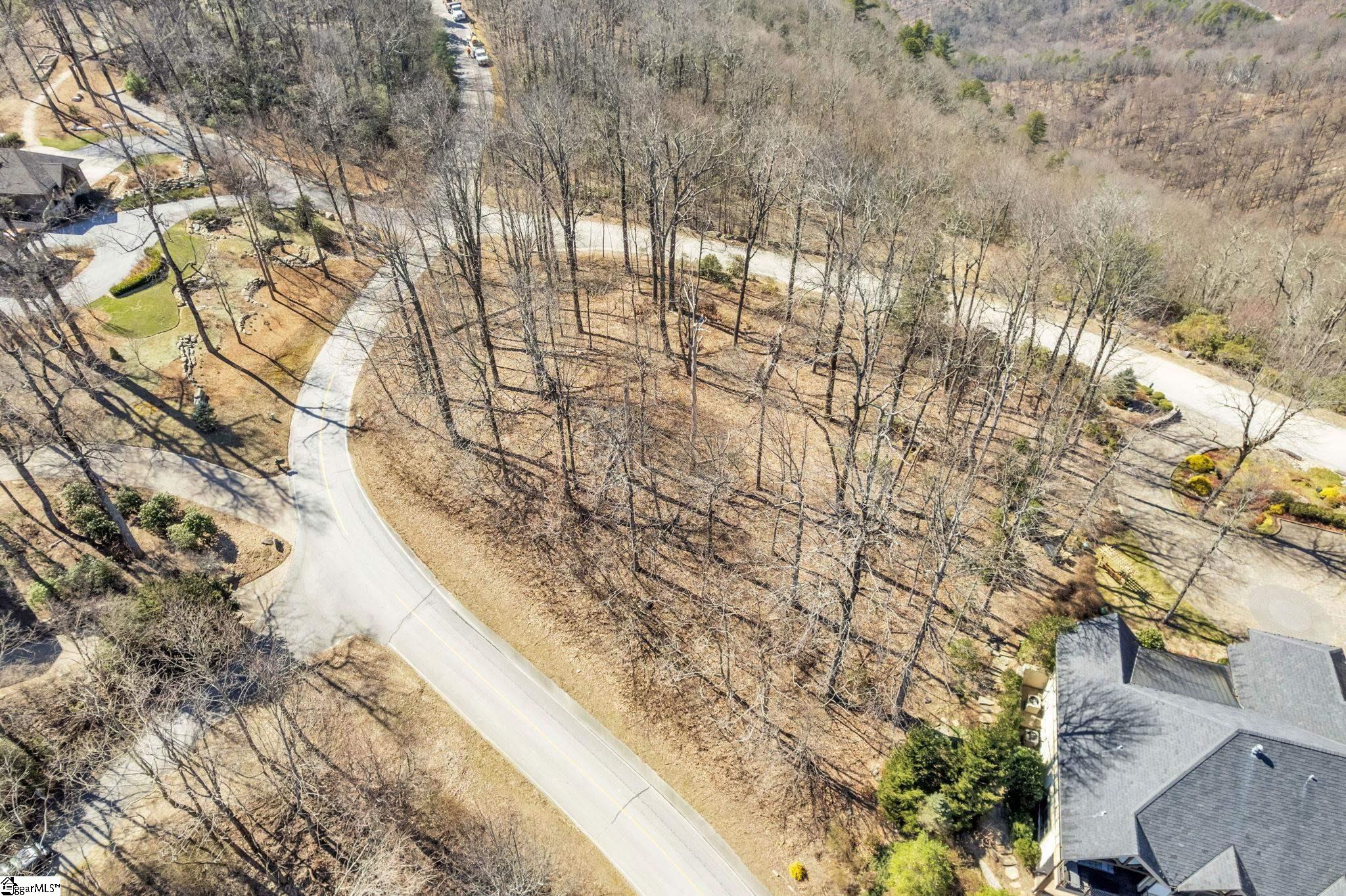 0 Panther Mountain Road, Unit LOT PM8 Travelers Rest, SC 29690 - Photo 4 of 13