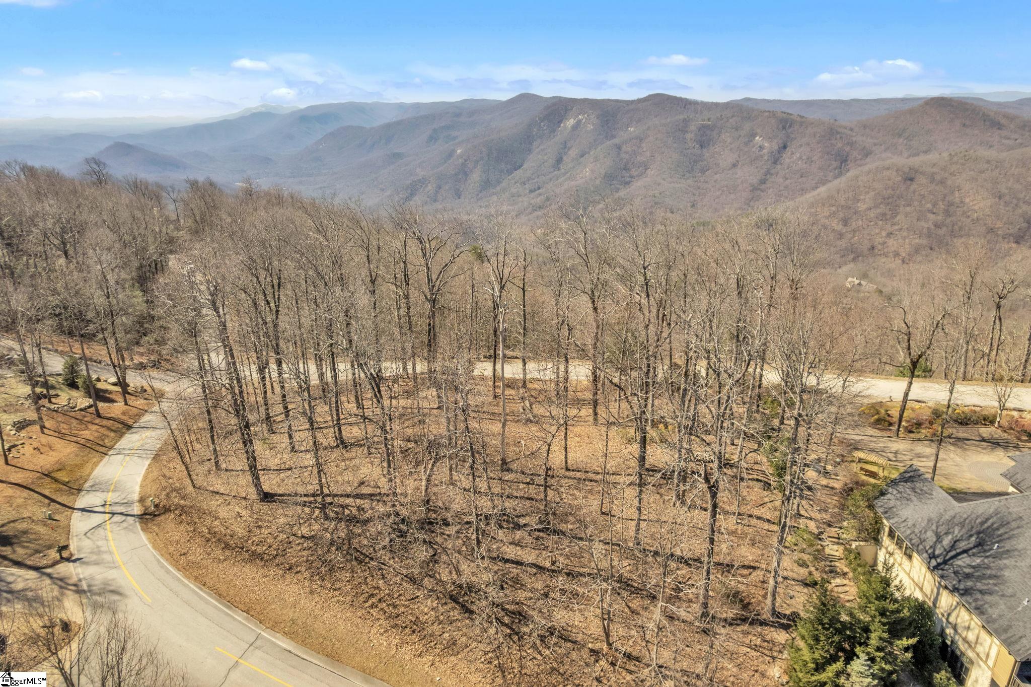 0 Panther Mountain Road, Unit LOT PM8 Travelers Rest, SC 29690 - Photo 6 of 13