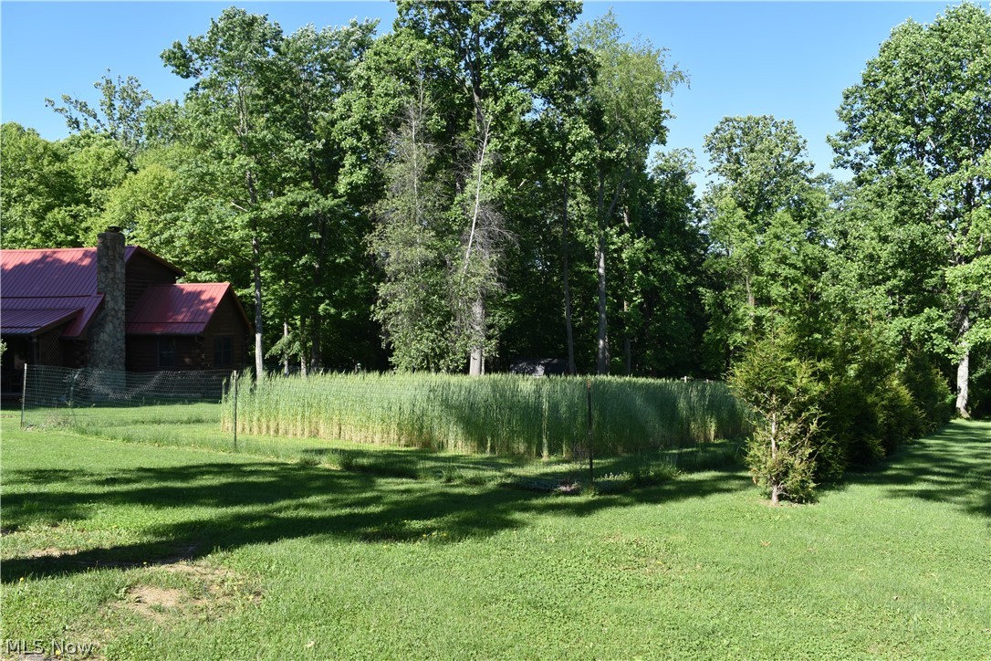 205 Stratton Lane Flushing, OH 43977 - Photo 14 of 22