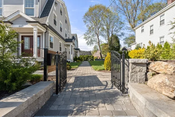 a view of a park with plants and large trees