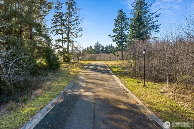 a view of a yard with swimming pool