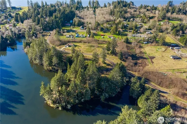 a aerial view of a house with a yard lake and trees all around