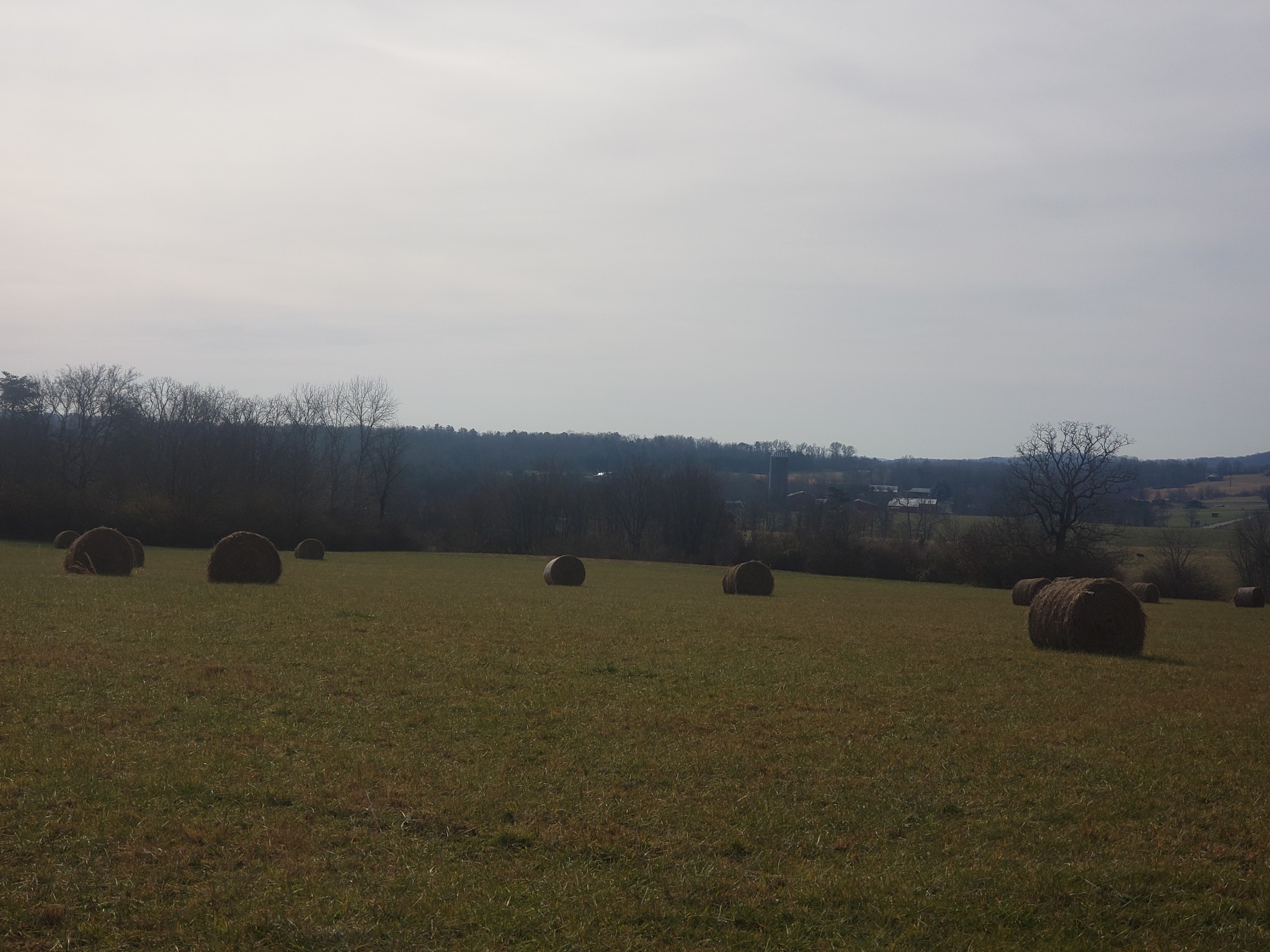0 Equestrian Ridge Pikeville, TN 37367 - Photo 14 of 15 Gallery Image 14