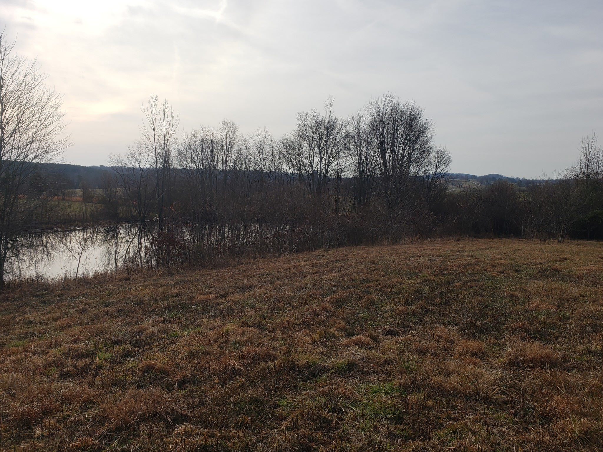 0 Equestrian Ridge Pikeville, TN 37367 - Photo 3 of 15 Gallery Image 3