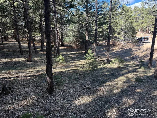 a view of a yard with trees