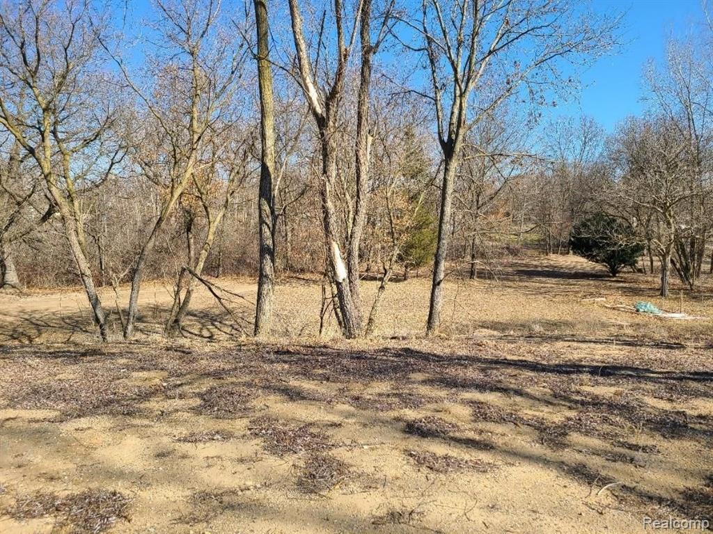 0 Rattek Road Clarkston, MI 48346 - Photo 5 of 7