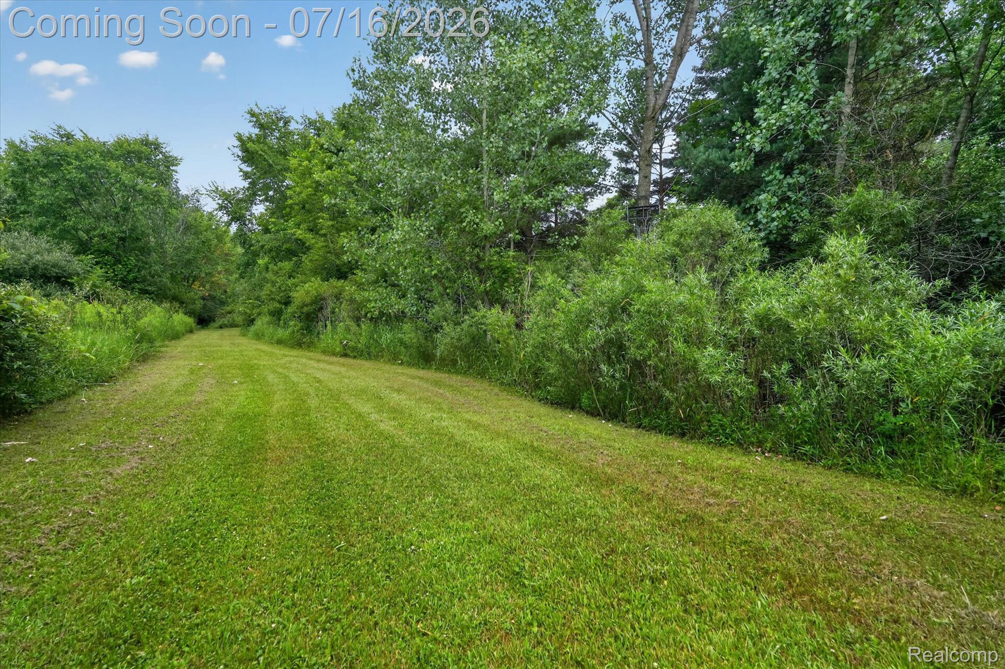 11210 Linden Road Linden, MI 48451 - Photo 43 of 61 Expansive grassy pathway surrounded by mature trees and lush foliage