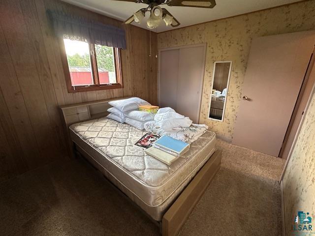 30 Fir Circle Babbitt, MN 55706 - Photo 16 of 27 Carpeted bedroom with a closet and ceiling fan