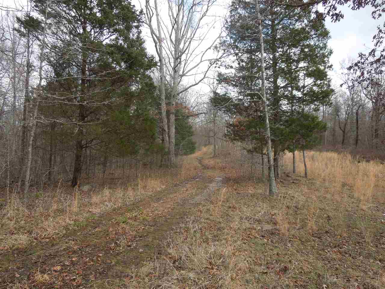 1767 Fisher Ridge Road Horse Cave, KY 42749 - Photo 16 of 34 Gallery Image 16