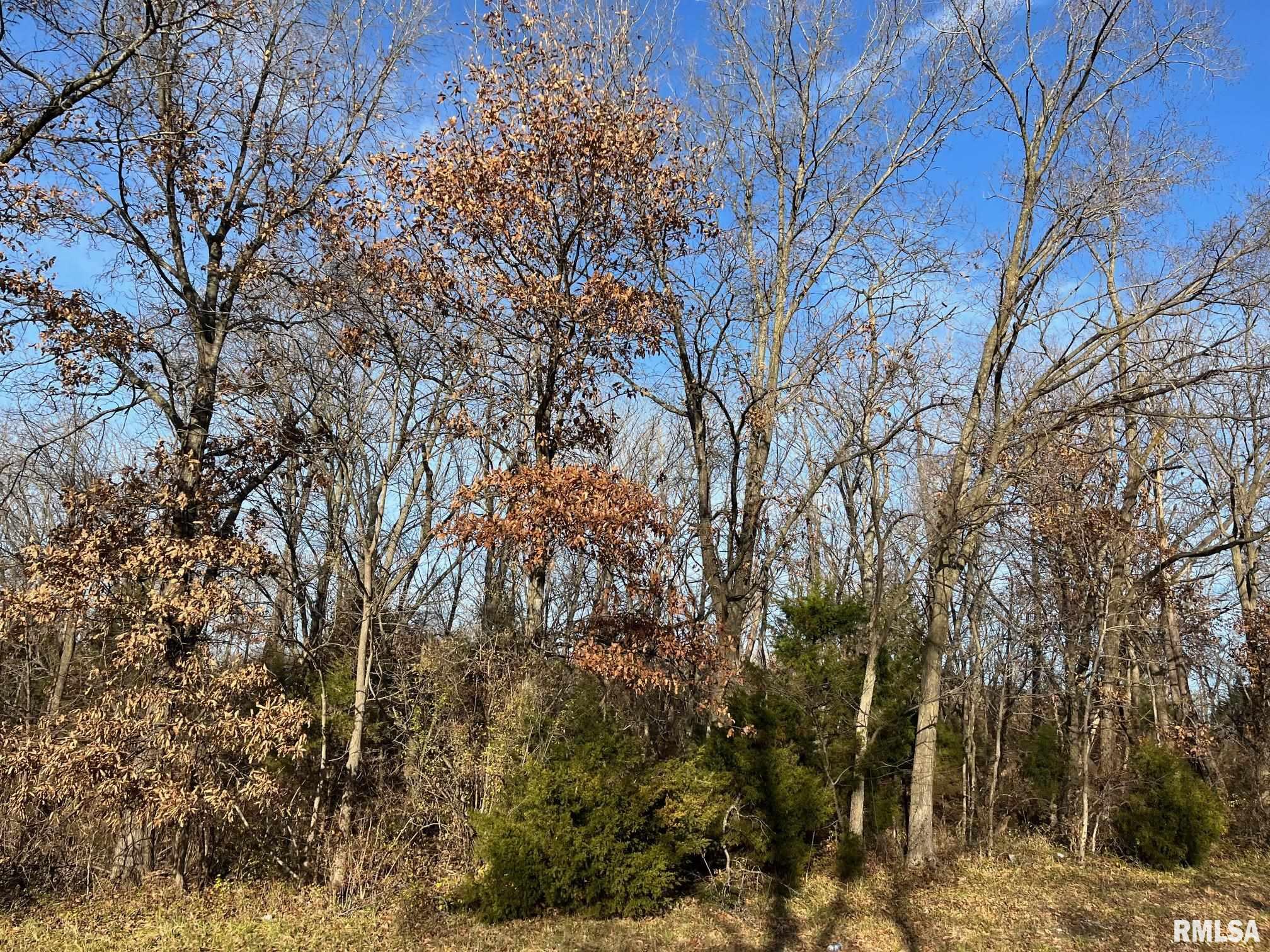 140 House Road Elkville, IL 62932 - Photo 2 of 2 Gallery Image 2