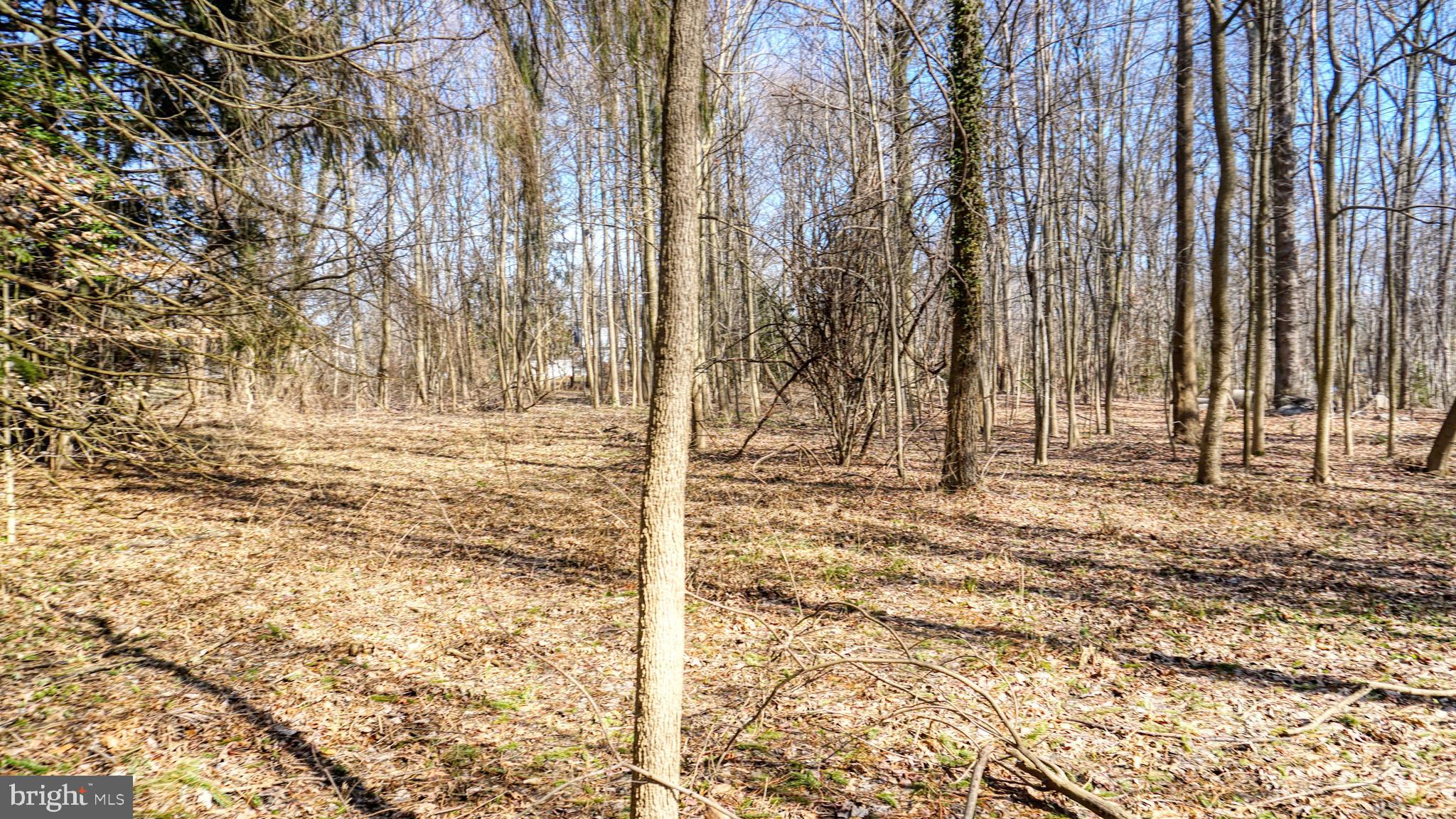 2433 Grubb Road Wilmington, DE 19810 - Photo 3 of 10 a view of outdoor space with trees