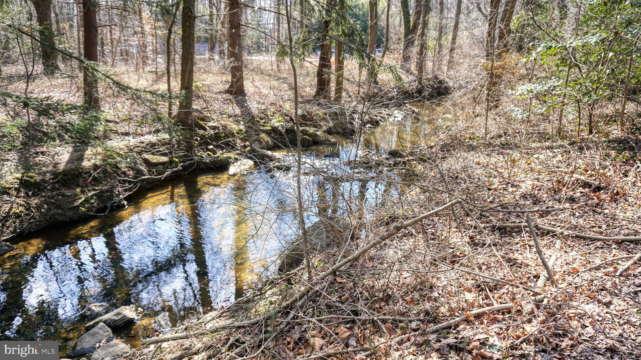 2433 Grubb Road Wilmington, DE 19810 - Photo 4 of 10 a picture of trees with side of house