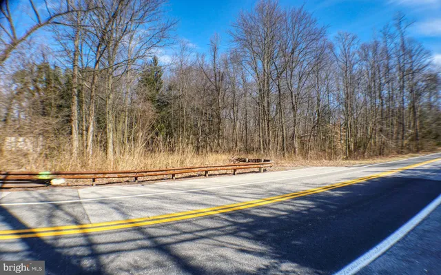 a view of a backyard with trees