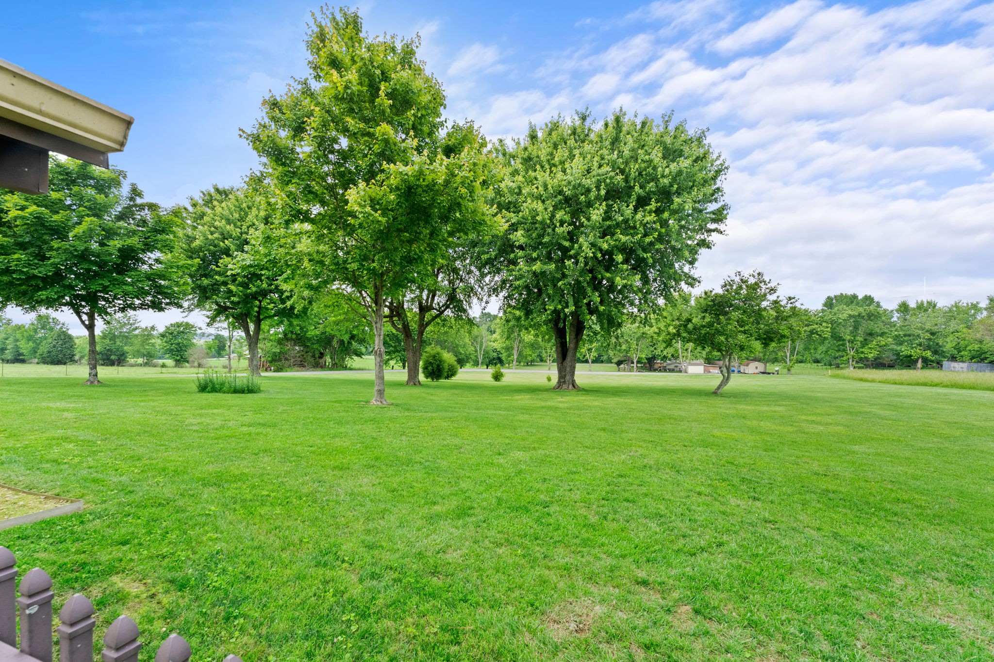 141 Jernigan Road Portland, TN 37148 - Photo 8 of 24 a view of grassy field with trees