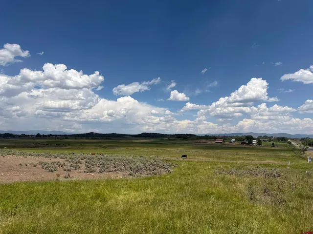 a view of an ocean and beach